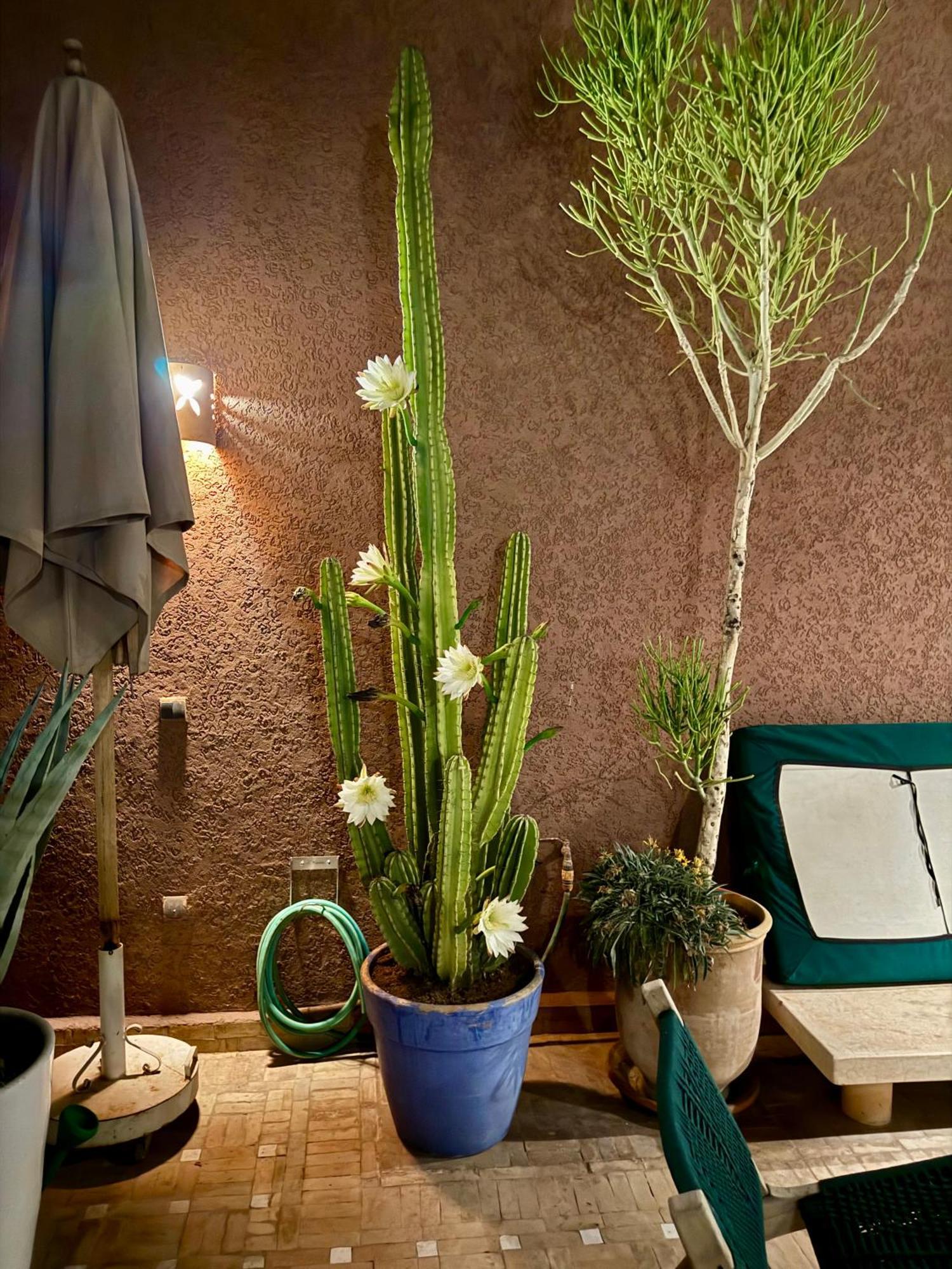 "Le 21", Exclusive Luxury Duplex 400M From Jemaa El Fna Place -Hammam-Jacuzzi-Koutoubia View-Roof Terrace -Speed Wifi Μαρακές Εξωτερικό φωτογραφία